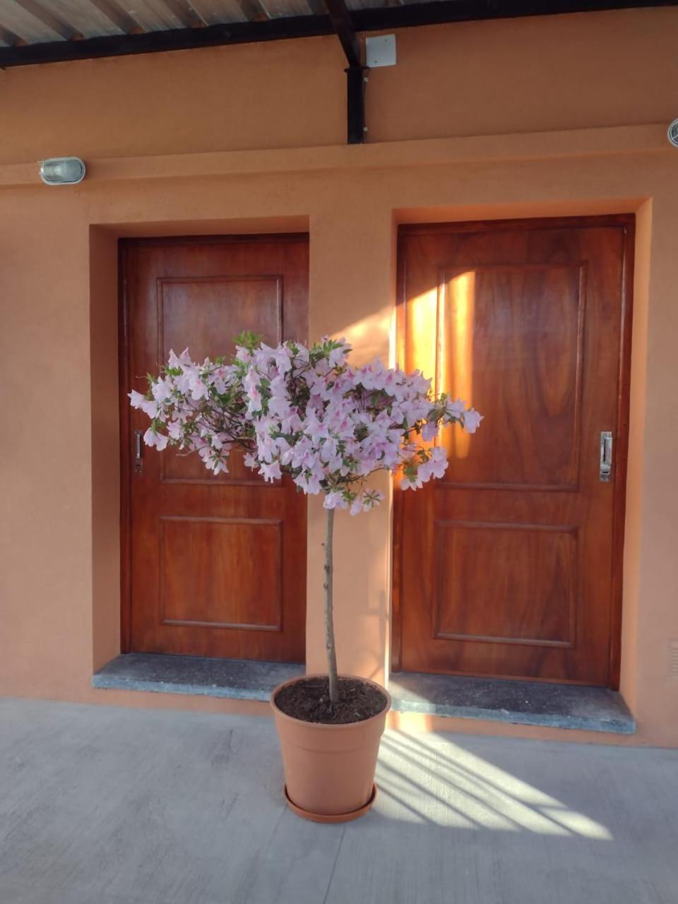 Ukiyo Apartment San Salvador de Jujuy